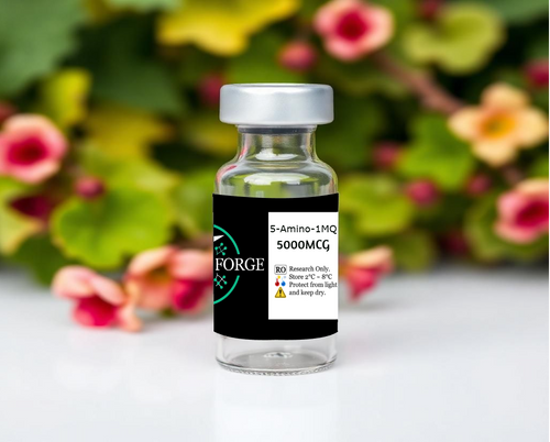 5-Amino-1MQ: The Next Frontier in Fat Loss and Metabolic Health